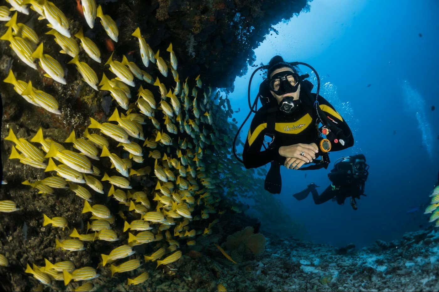 Fauna marina della Sardegna